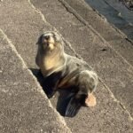 1000628722