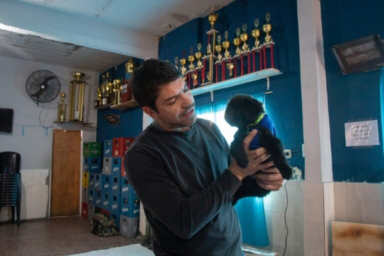 EL-MUNICIPIO-REALIZO-UN-NUEVO-OPERATIVO-DE-CASTRACION-Y-VACUNACION-ANTIRRABICA-EN-QUILMES-OESTE-3.jpg